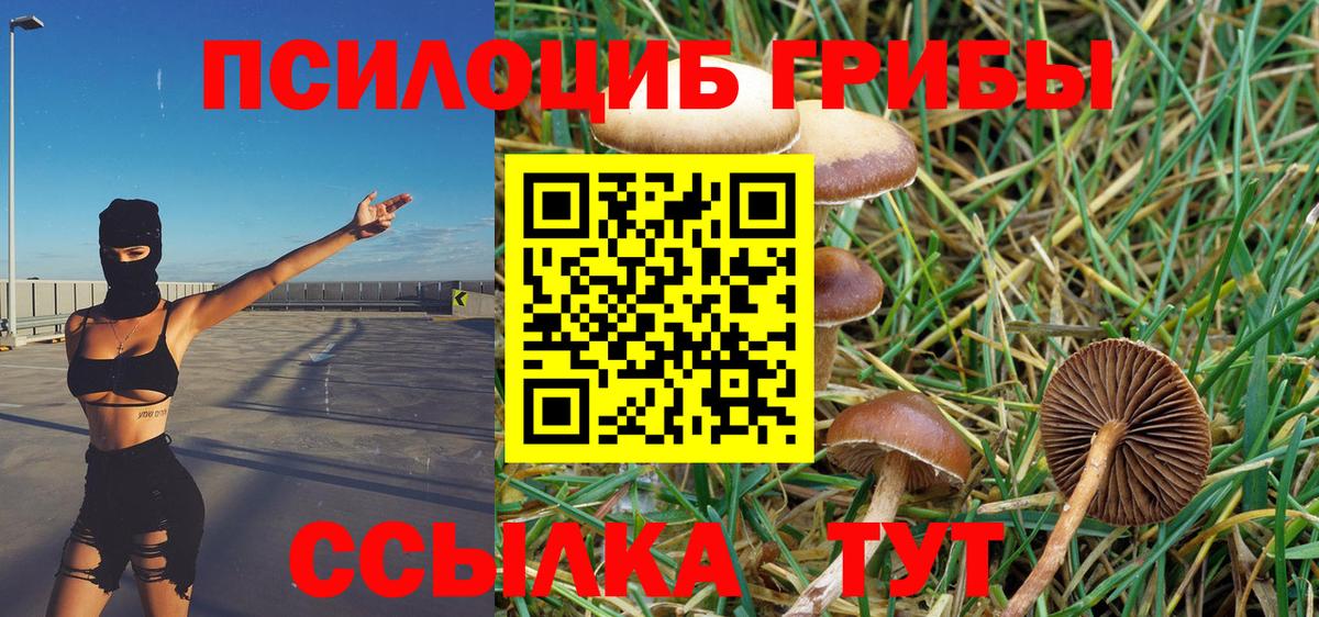Псилоцибиновые грибы прущие грибы Карпинск